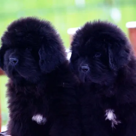 Apartamento Angel Town Hall Vilna